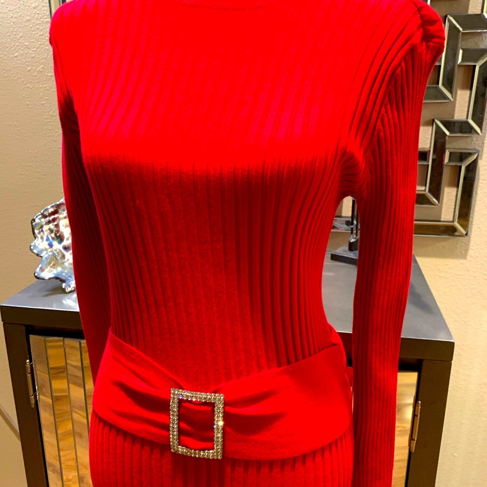 Red turtle neck sweater